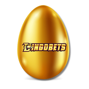 No Image Uploaded